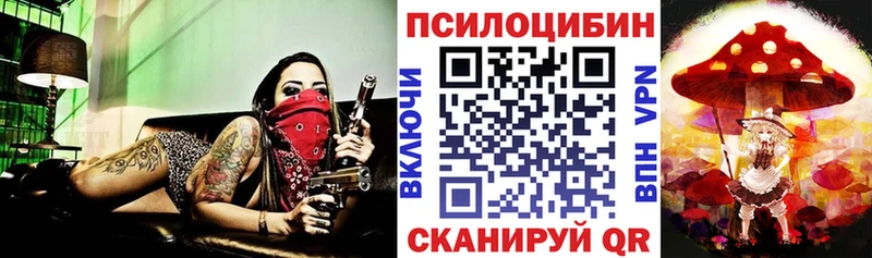 Галлюциногенные грибы мицелий Мамадыш